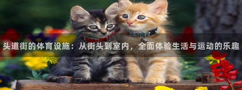 意昂5(KGAME)官网：头道街的体育设施：从街头到