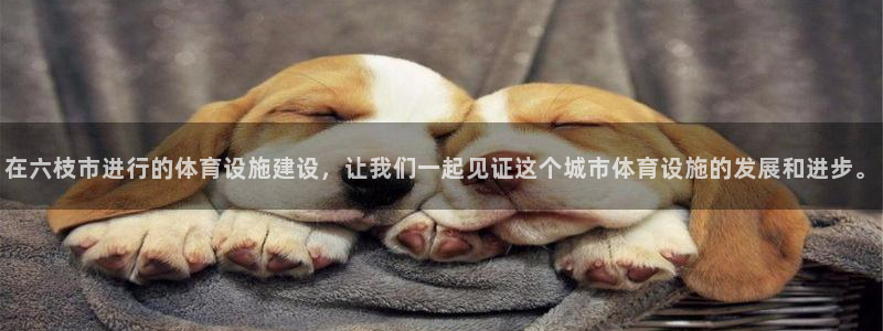 意昂5(KGAME)体育平台是正规平台吗：在六枝市进