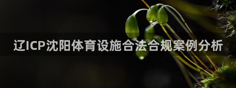 意昂5(KGAME)科技：辽ICP沈阳体育设施合法合