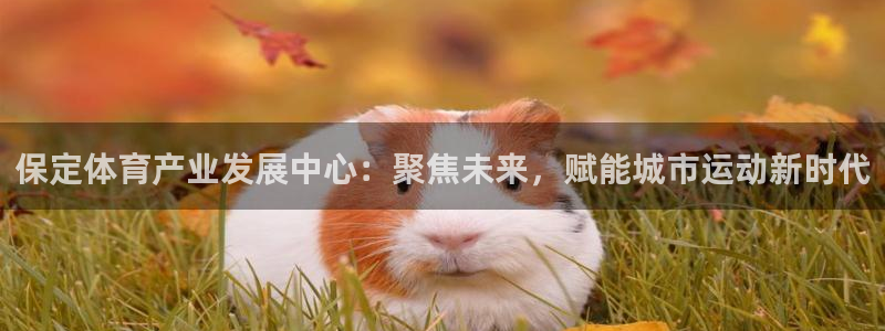 意昂5(KGAME)体育招商电话是多少：保定体育产业发展中心