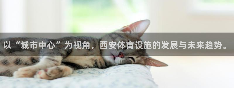 意昂5(KGAME)体育平台注册流程图：以“城市中心”为视角