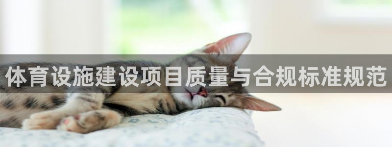 意昂5(KGAME)娱乐首页网站大全：体育设施建设项目质量与