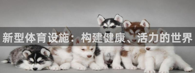 意昂5(KGAME)体育开户：新型体育设施：构建健康、活力的