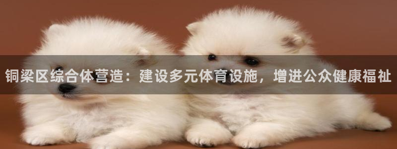 意昂5(KGAME)体育招商电话号码查询是多少：铜梁区综合体 