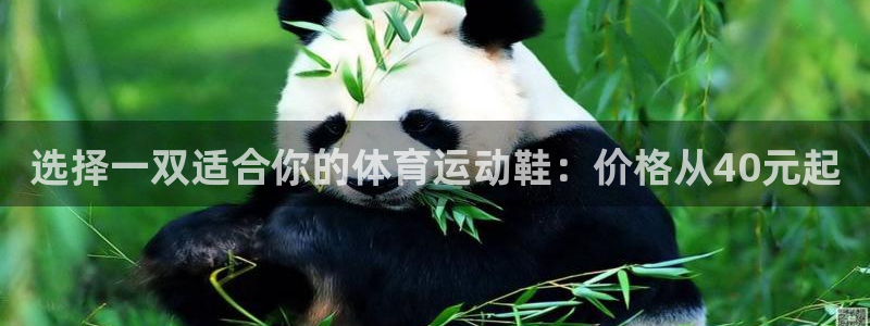 3377体育官方app下载：选择一双适合你的体育运动鞋：价格从40元起
