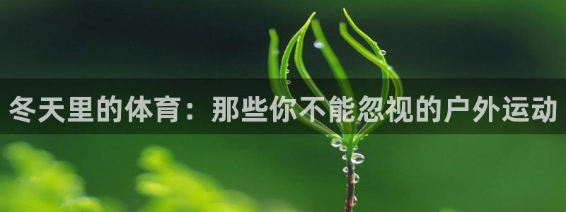 3377体育官方app下载：冬天里的体育：那些你不能忽视的户外运动