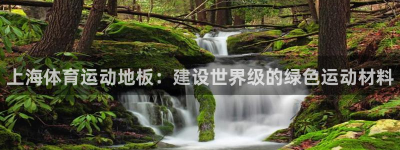 3377体育靠谱吗：上海体育运动地板：建设世界级的绿色运动材料
