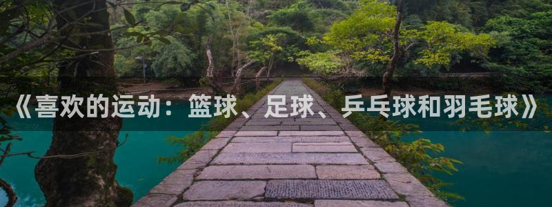 3377体育平台：《喜欢的运动：篮球、足球、乒乓球和羽毛球》
