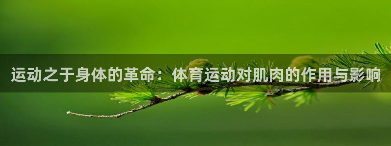3377体育官网入口下载最新：运动之于身体的革命：体育运动对肌肉的作用与影响