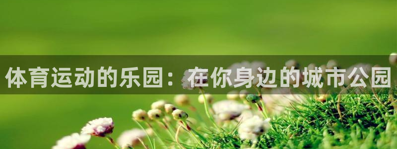 3377体育官网：体育运动的乐园：在你身边的城市公园