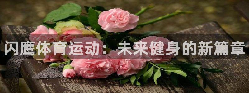 3377体育官方app下载：闪鹰体育运动：未来健身的新篇章