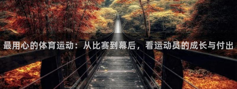 3377体育app下载安装：最用心的体育运动：从比赛到幕后，看运动员的成长与付出