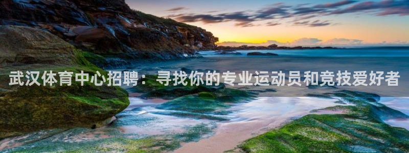 3377体育(中国)官方网站：武汉体育中心招聘：寻找你的专业运动员和竞技爱好者
