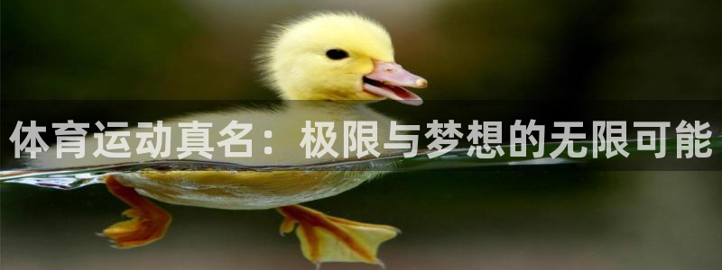 3377体育app登录入口：体育运动真名：极限与梦想的无限可能