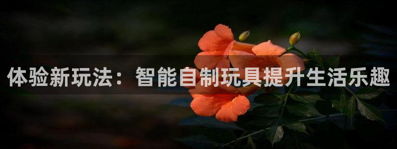 3377体育在线登录官网入口：体验新玩法：智能自制玩具提升生活乐趣