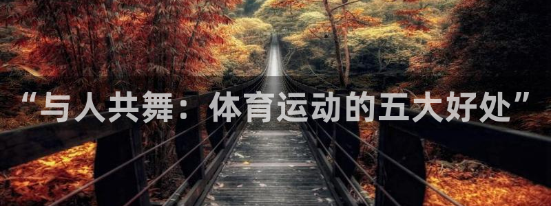 3377体育app官方下载：“与人共舞：体育运动的五大好处”
