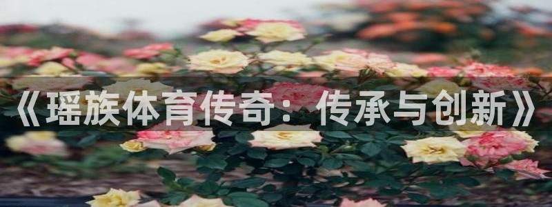 3377体育com：《瑶族体育传奇：传承与创新》