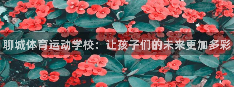 3377体育：聊城体育运动学校：让孩子们的未来更加多彩