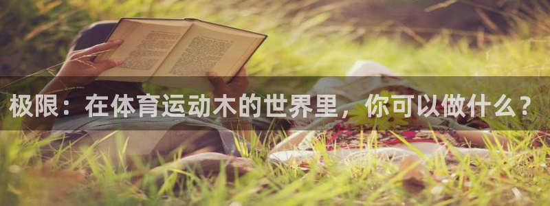 3377体育靠谱吗：极限：在体育运动木的世界里，你可以做什么？