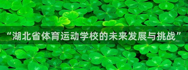3377体育是正规的吗：“湖北省体育运动学校的未来发展与挑战”