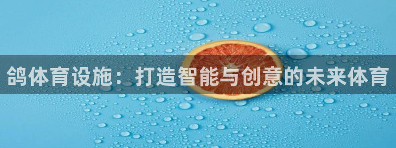 意昂5(KGAME)体育软件：鸽体育设施：打造智能与创意的未