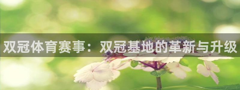 意昂5(KGAME)集团简介：双冠体育赛事：双冠基地的革新与 