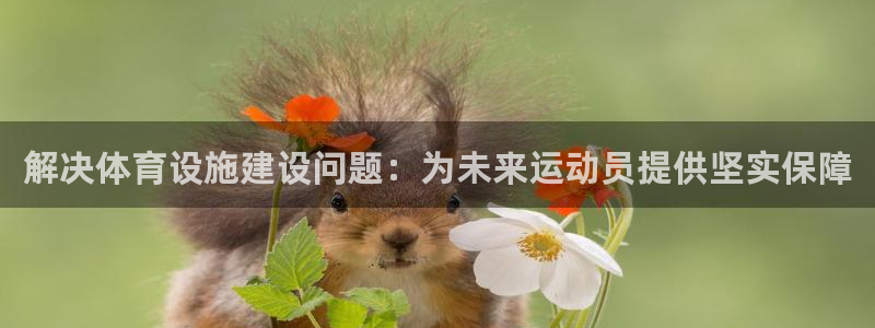 意昂5(KGAME)体育平台假的吗是真的吗吗：解决体育设施建